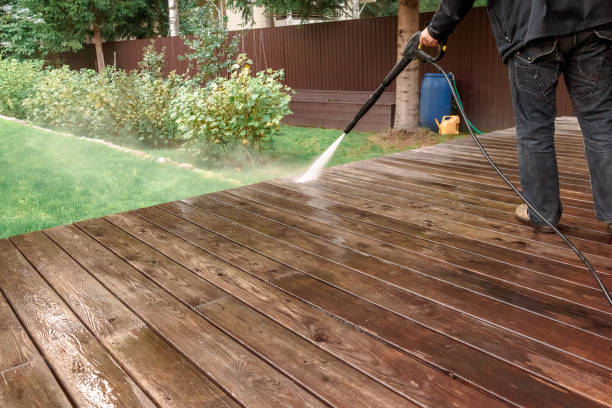 Best Sidewalk and Walkway Cleaning  in Genoa City, WI