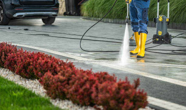 Best Driveway Pressure Washing  in Genoa City, WI